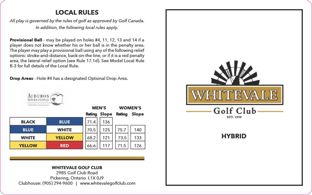 ScorecardHybridPage2